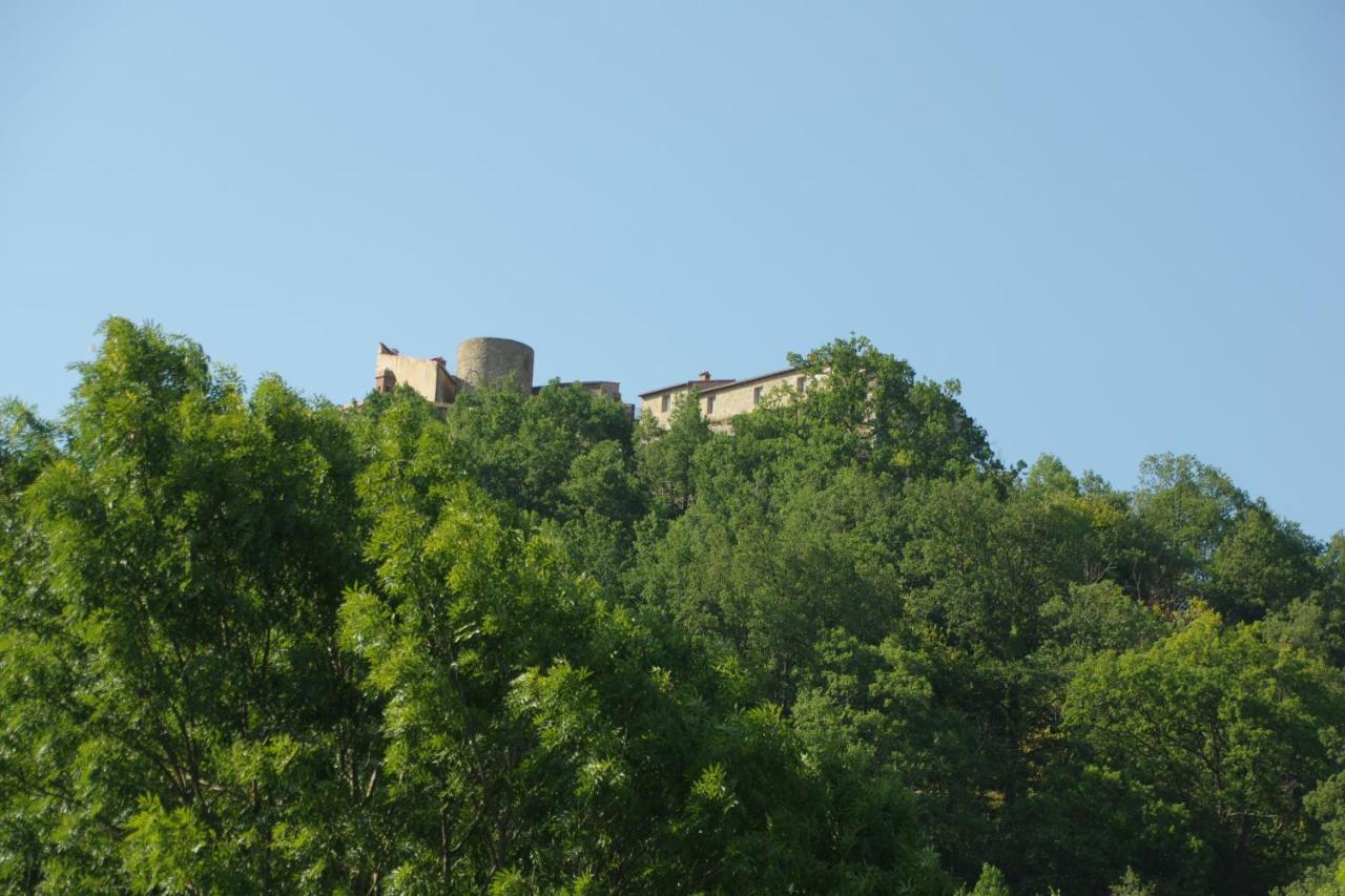 Tres Vents Del Roser - Grand Appartement Prats-de-Mollo-la-Preste Esterno foto
